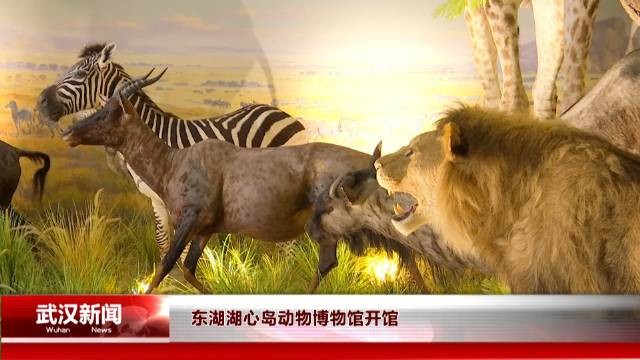 湖心島動物博物館在東湖帆船基地揭幕